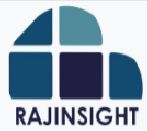 Rajinsight Pvt Ltd Company Logo