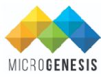 Microgenesis Techsoft Pvt Ltd logo