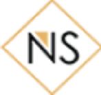 NVS Brokerage Private Limited logo
