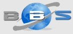Boston Business Solutions Pvt Ltd logo