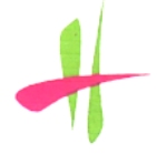 Harinarayan Tekewala Creation Company Logo