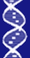 Saveer Biotech Ltd logo