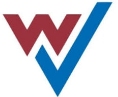Wellvio Healthcare Pvt Ltd logo