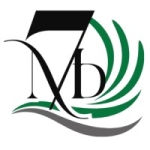 7 S IQ Private Limited logo