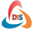 Destiny Taxation Services Private Limited logo