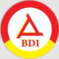 Brahmi Durga Infotech Private Limited Company Logo