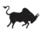Bull Machine Pvt Ltd Authorised Dealer logo