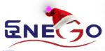 Enego Services Pvt Ltd. logo