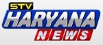 STV Haryana News logo