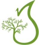 Paam Green Energy Pvt Limited logo