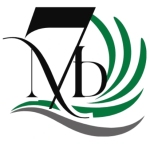 7S IQ Private Limited logo