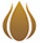 Lakshmi Hyundai Company Logo