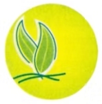 National Printers logo