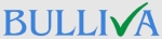 Bulliva Services Pvt Ltd logo