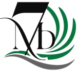 7siq Pvt Ltd Company Logo