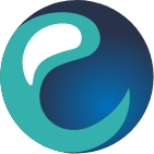 Ematic Techno Solutions Pvt Ltd logo