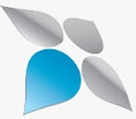 Veda Networks logo