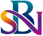 SBN Research and Consultancy logo