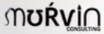 Murvin Consulting logo