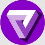 Violet Info System logo