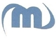Mega Space IT Solutions Pvt Ltd logo