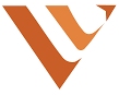 Visionaire Lab Systems Pvt Ltd Company Logo