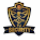 TJ Security Services Company Logo