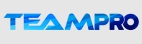 Teampro HR & IT Service Pvt Ltd Company Logo