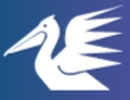 Pelican Telecom Pvt Ltd logo