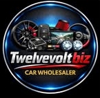 Twelve Volt Biz Company Logo
