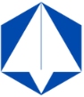Capeasy Consultancy logo