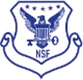 NSF India Security Company Logo