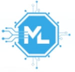 ML Dynamic Solution Company Logo