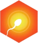 Parakh IVF Fertility Center Company Logo