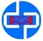 D&P Expert Solution logo