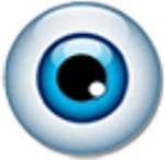 Dr Kirans Eye Hospitals logo