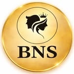 BNS Healthcare logo
