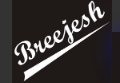 Breejesh Enterprises logo