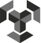 Radyne Infotech Pvt Ltd logo