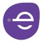 E Solve Solution Pvt Ltd logo