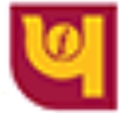 Punjab National Bank MetLife logo