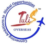 Tulis Overseas logo