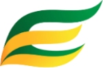 Eco Fire Works logo