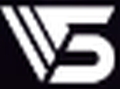 V5 Gobal logo