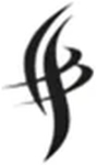 SRS Innovative Solutions logo