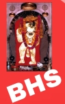 Shree Balaji Heating System logo