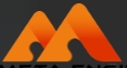 Metamorphosis Engitech India Pvt Ltd Company Logo