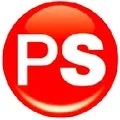Prime Semiconductors LLP logo