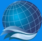 Nano Science and Technology Company logo