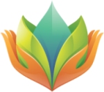 Shivesh Group Of Companies Company Logo
